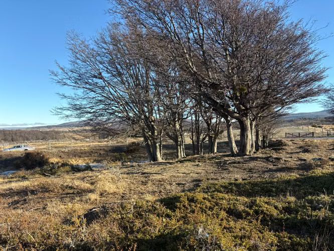 Terreno Altos de Leñadura - Imagen 3