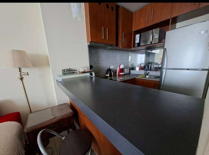 ARRIENDO AMOBLAO AÑO CORRIDO 1D 1B - Imagen 16