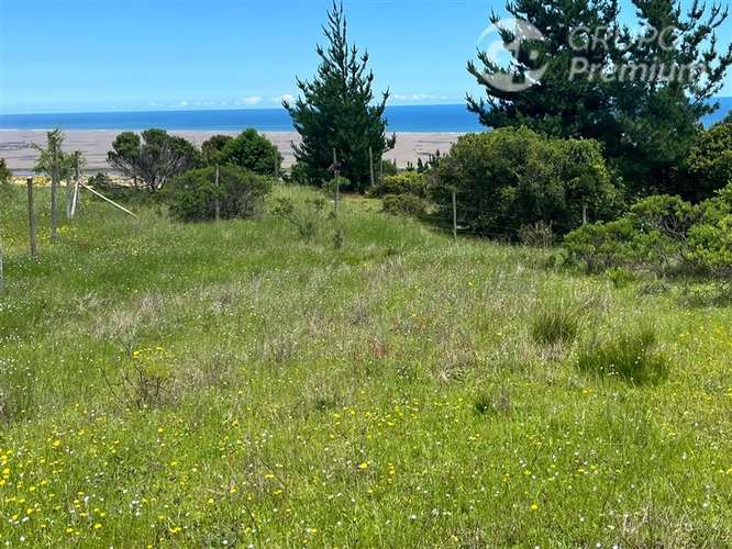 Parcela de 5.000 m con vista al mar en Lomas de Cuchi - Imagen 4