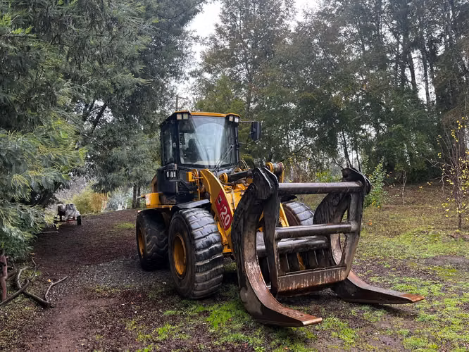 Cargador Frontal CAT 924K 2016 con Garra Forestal