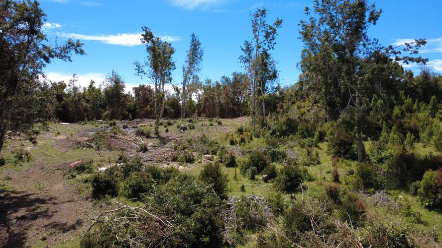 Venta Hermoso Terreno Sector Palqui - Imagen 5