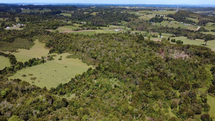 Venta Hermoso Terreno Sector Palqui - Imagen 10