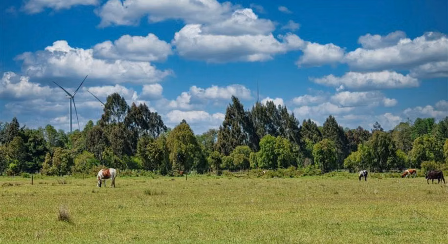 Parcela De 8,700 M2 En Frutillar- Región De Los Lagos