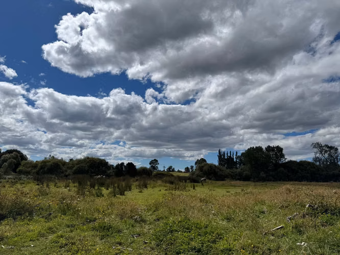 Parcela De 8,700 M2 En Frutillar- Región De Los Lagos