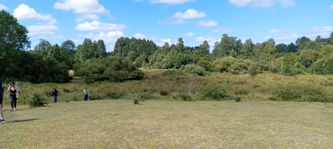 Parcela De 8,700 M2 En Frutillar- Región De Los Lagos