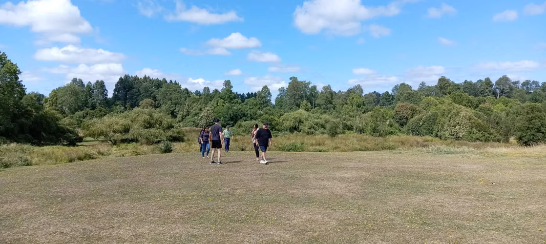 Parcela De 8,700 M2 En Frutillar- Región De Los Lagos