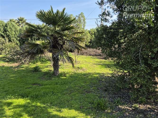 Parcela Con 2 Casa en venta de 7D + 4B. en Calera de Tango - Imagen 12