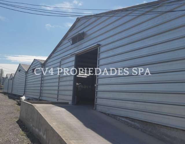 BODEGA CON GALPÓN Y TERRENO EN PAINE - Imagen 2
