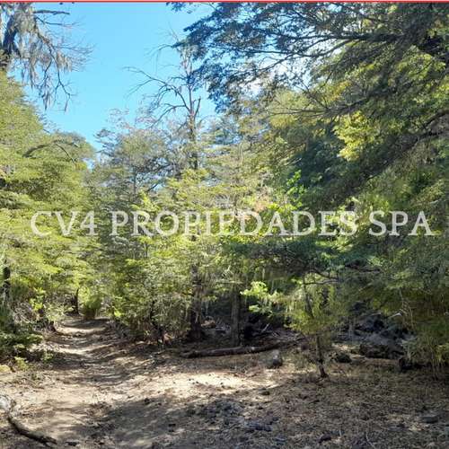 Terreno en Termas de Chillan - Imagen 17