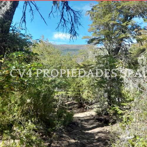 Terreno en Termas de Chillan - Imagen 18