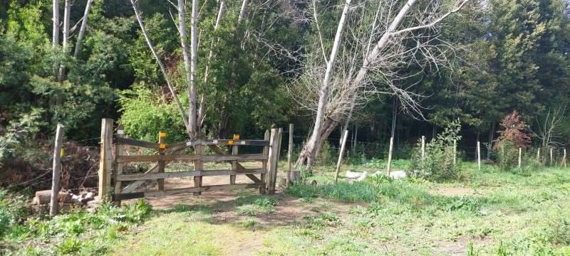 PARCELA  RUTA 146, VILLA ROMA SECTOR CRUCE AGUA DE LA GLORIA