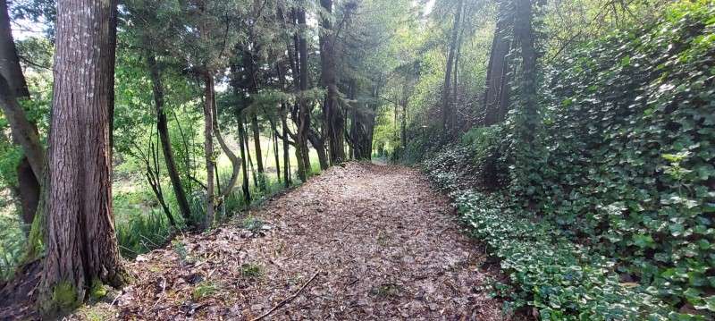 PARCELA  RUTA 146, VILLA ROMA SECTOR CRUCE AGUA DE LA GLORIA