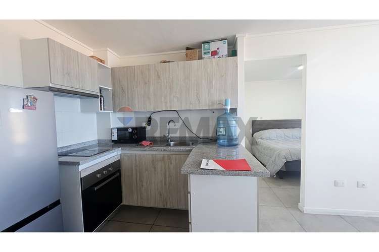 Depto amblado en el sur 1d/1b/1e/1b - Imagen 3