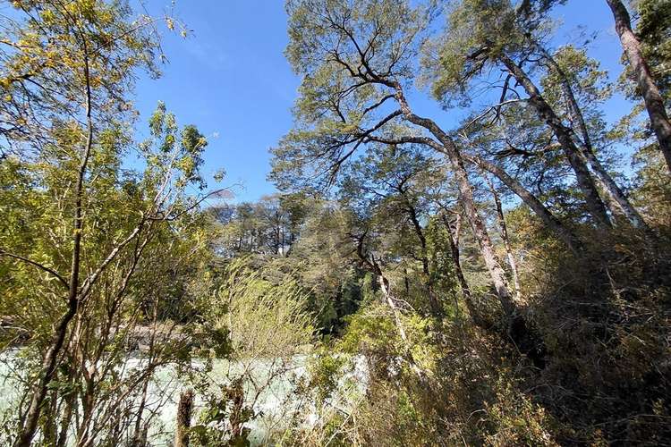 Inversión turística en pucón con río y saltos - Imagen 30