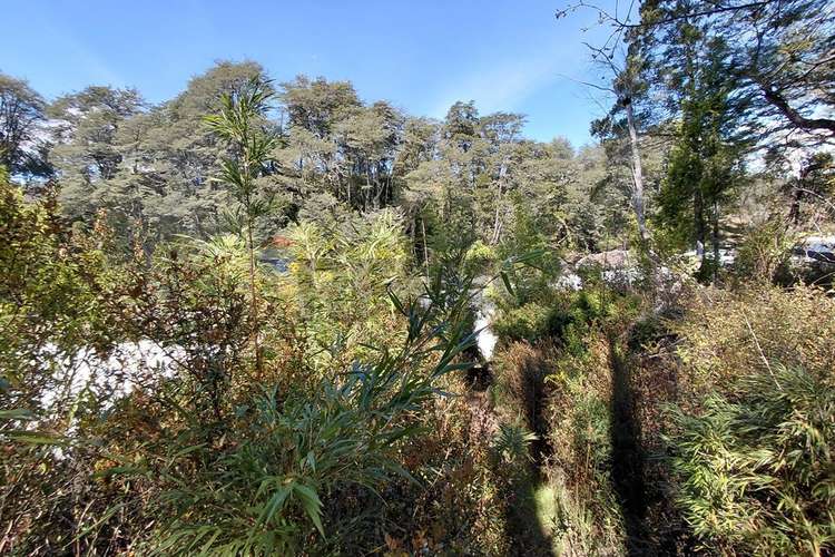 Inversión turística en pucón con río y saltos - Imagen 17