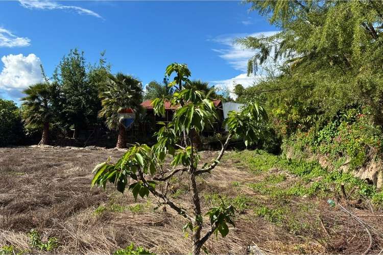 Parcela en venta, san vicente de tagua tagua. - Imagen 19