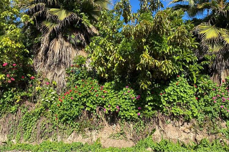 Parcela en venta, san vicente de tagua tagua. - Imagen 17