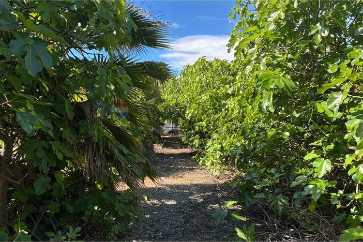 Parcela en venta, san vicente de tagua tagua. - Imagen 28