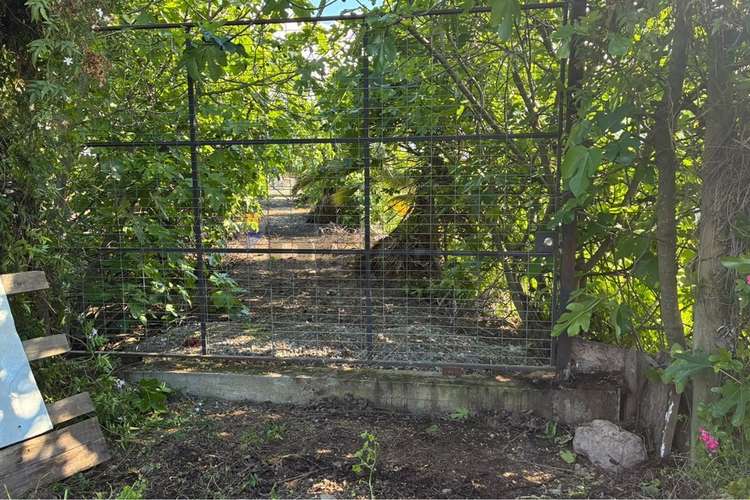 Parcela en venta, san vicente de tagua tagua. - Imagen 4
