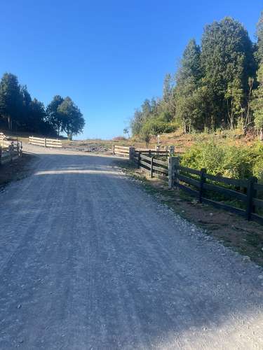 VENTA PARCELA LAGO RUPANCO CON ACCESO A PLAYA Y MUELLE - Imagen 3