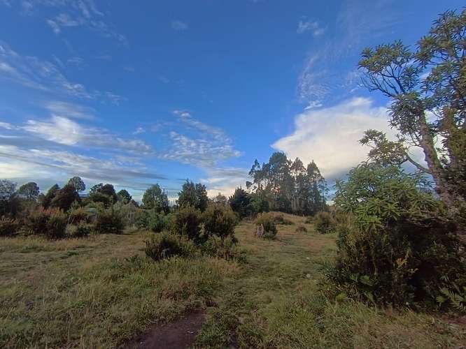 CASA 3 DORMITORIOS, 5000 METROS TERRENO, PUERTO VARAS - Imagen 3