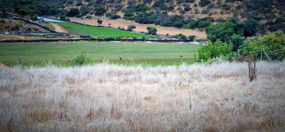 Venta de parcela de 7.500 m2., en El Huape, Manzanar, Quillota. 100 M$.