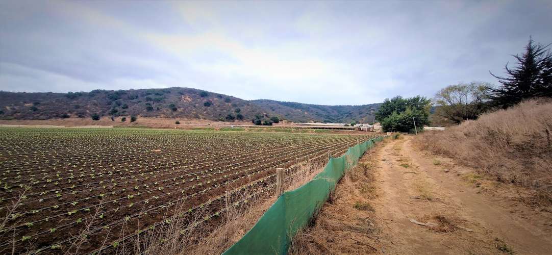 Venta de parcela de 18.000 m2., en El Huape, Manzanar, Quillota – 170 M$.
