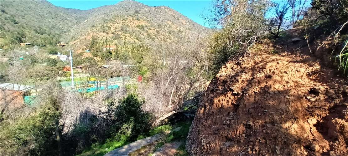 En renta de terreno con bosque nativo de 6,5 há, en Olmué.  1 M$