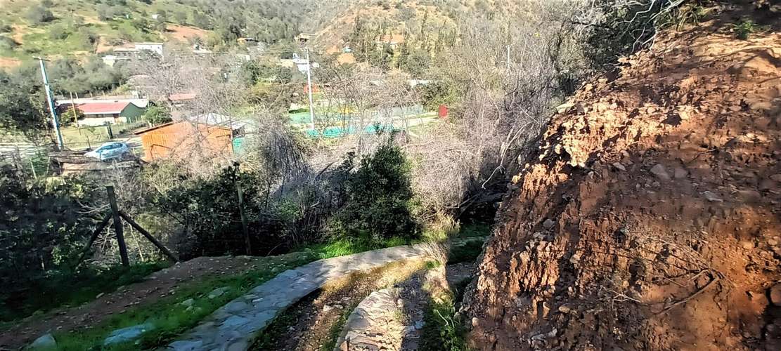 En renta de terreno con bosque nativo de 6,5 há, en Olmué.  1 M$