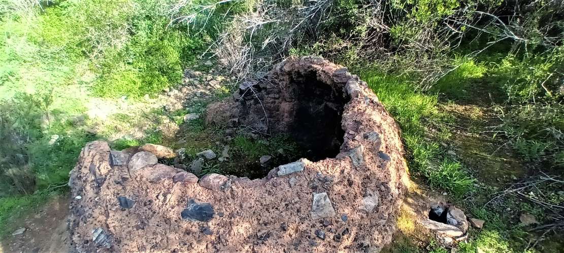 En renta de terreno con bosque nativo de 6,5 há, en Olmué.  1 M$