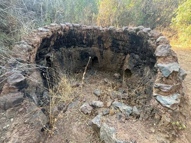 En renta de terreno con bosque nativo de 6,5 há, en Olmué.  1 M$