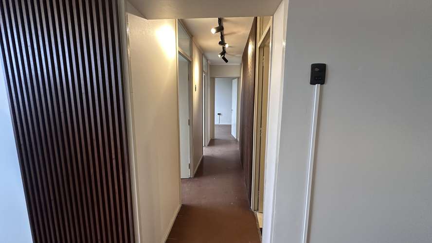  ¡ARRIENDA DEPARTAMENTO REMODELADO EN LAS ÁNIMAS, VALDIVIA!