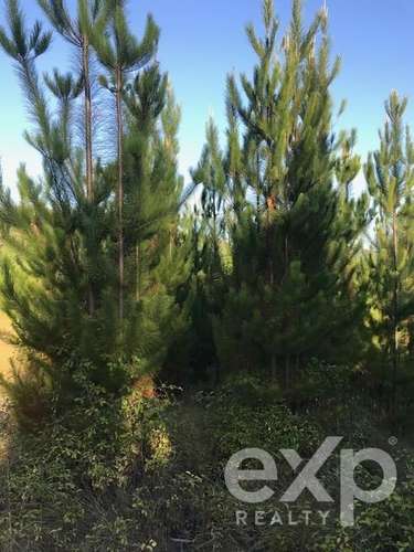 Terreno Construccion en venta en Constitución - Imagen 14