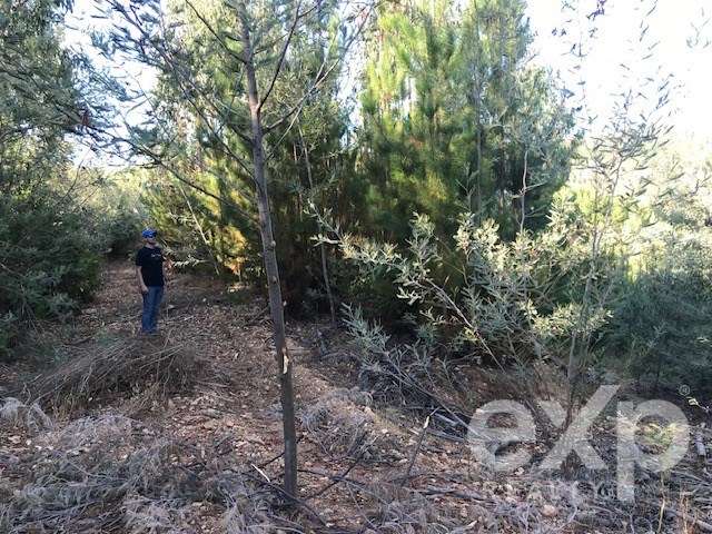 Terreno Construccion en venta en Constitución - Imagen 12