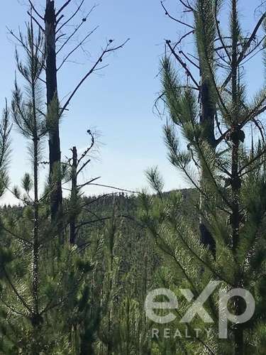 Terreno Construccion en venta en Constitución - Imagen 6