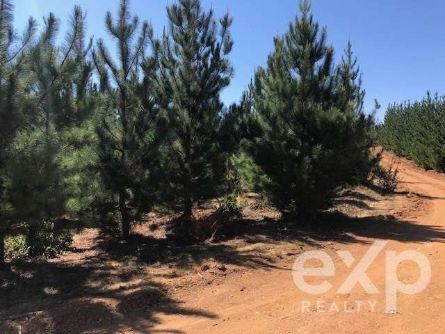 Terreno Construccion en venta en Constitución - Imagen 3