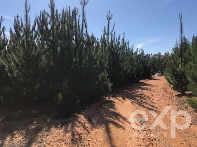 Sitio en venta en Constitución - Imagen 5