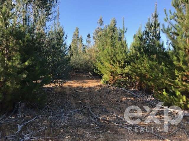 Sitio en venta en Constitución - Imagen 11