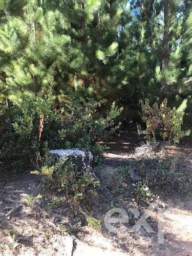 Sitio en venta en Constitución - Imagen 16