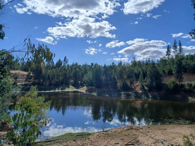 Hermosa Parcela de 5.000 m² en Hualañé, Curicó