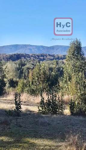 Tu Parcela en el Sur de Chile. - Imagen 6