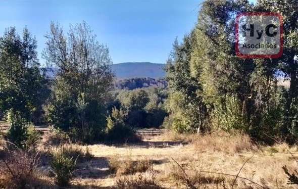 Tu Parcela en el Sur de Chile. - Imagen 2