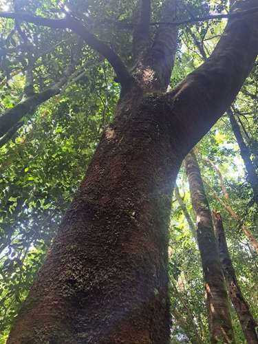 Parcela en venta en Calbuco - Imagen 36