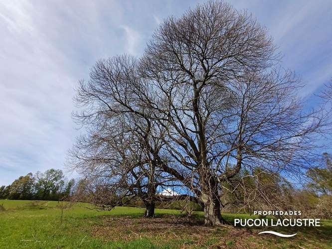 Inversión Segura en Parcela Luminosa (187785) - Imagen 11