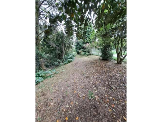 PARCELA 8200 M2 PRADERAS DEL SUR DE PUERTO VARAS - Imagen 8