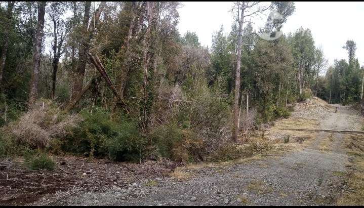 Parcela en venta en Dalcahue - Imagen 4