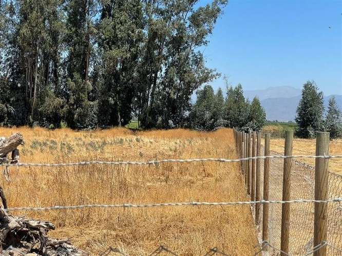 Sitio en Venta en Talagante - Imagen 6