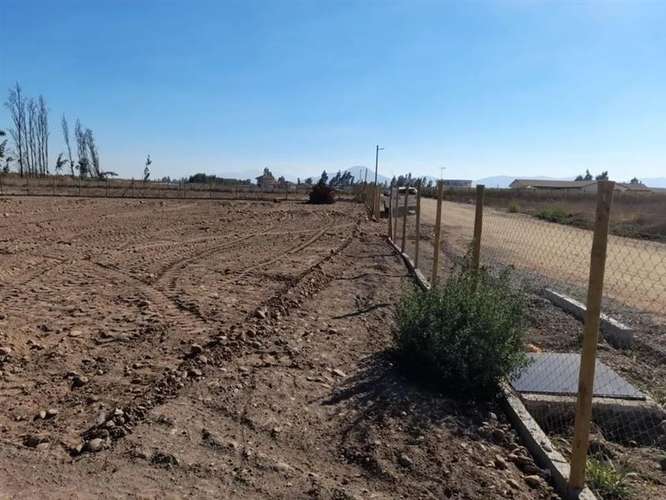 Sitio en Venta en Talagante - Imagen 2