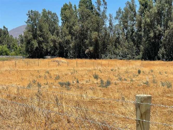 Sitio en Venta en Talagante - Imagen 7