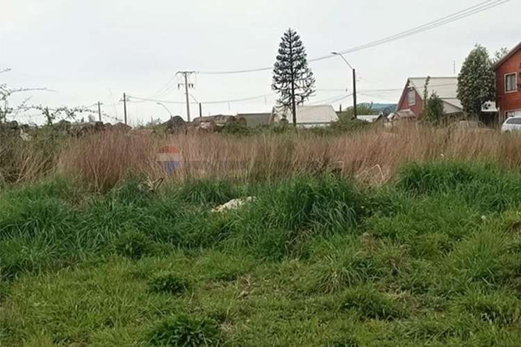 "inversión: terreno en curacautín," - Imagen 5
